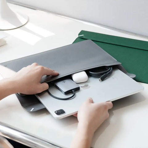 Valentinus Laptop Pouch