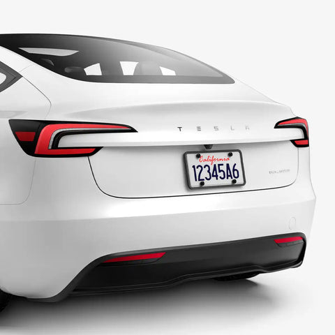 License Plate Frame | LP100