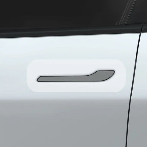 Tesla Series - Platinum Shield Car Door