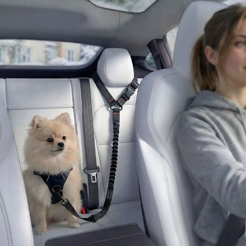 Pet Car Seatbelt Tether | PS100