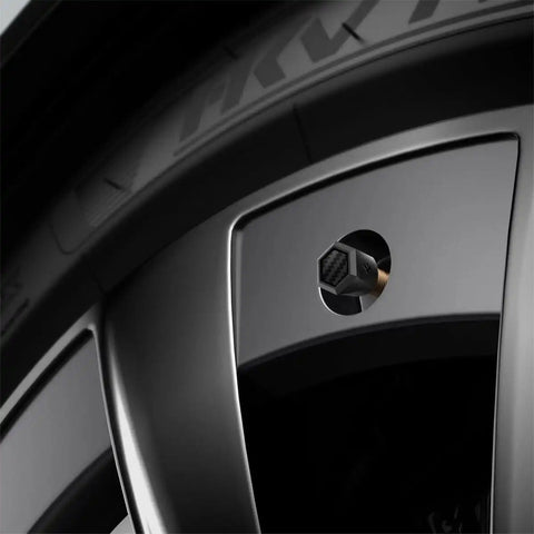 Universal Tire Valve Stem Cap | VS100