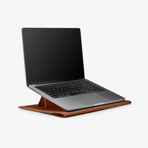 Valentinus S Laptop Pouch