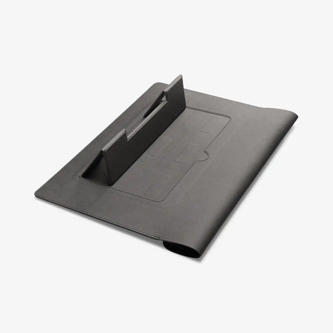 Valentinus S Laptop Pouch